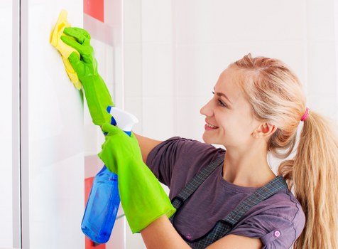 Professional window cleaning for homes in Bow