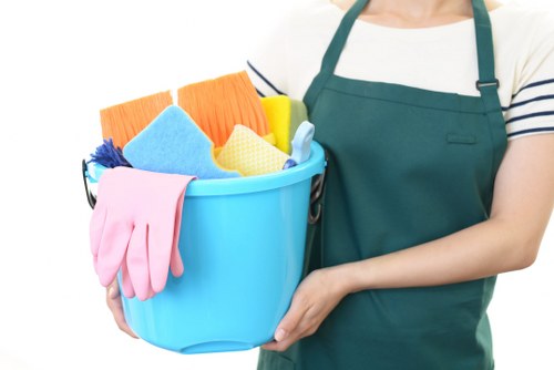 Professional stain removal for carpets and upholstery in Bow