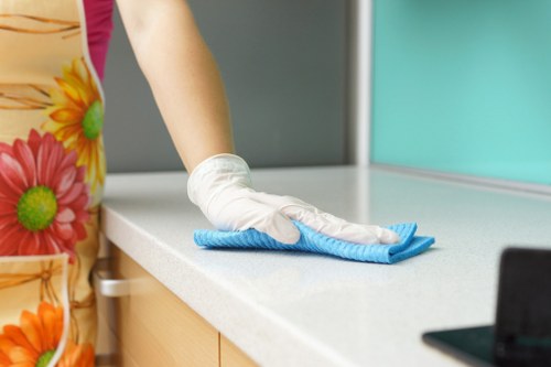 Professional pet stain and odour removal treatment for carpets in Bow