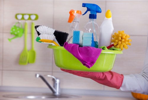 Domestic cleaning service for a Bow home with regular upkeep needs