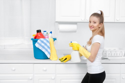 Professional regular cleaning support for Bow households