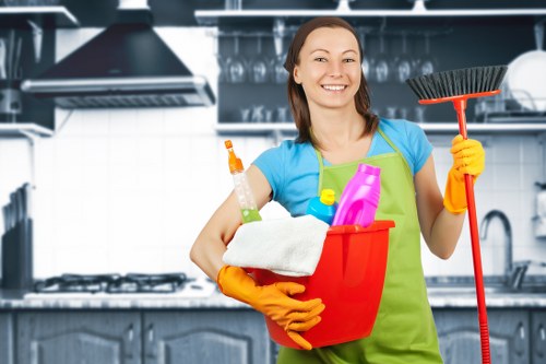 Gutter cleaning for homes and businesses in Bow