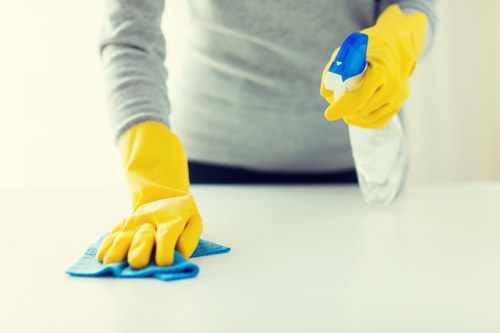 Local cleaner preparing a bathroom in Bow for a one-off clean