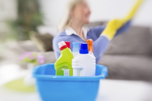 Bow steam carpet cleaning team working on a residential carpet
