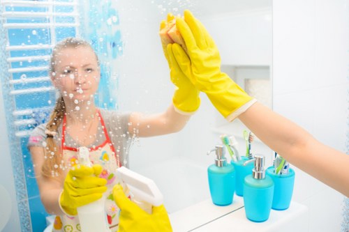 Kitchen and bathroom cleaning equipment ready for a domestic clean