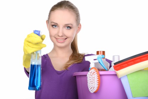Deep steam extraction cleaning for carpets in Bow